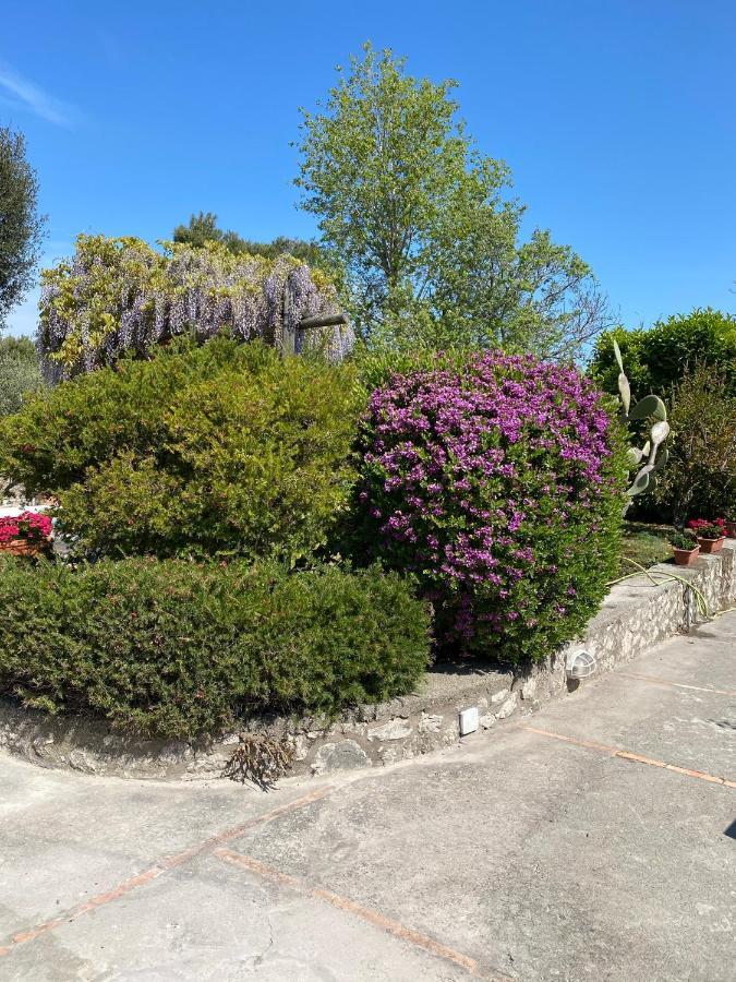Casaale Villa Anacapri Kültér fotó