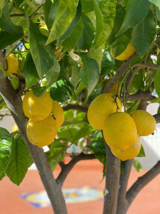 Casaale Villa Anacapri Kültér fotó